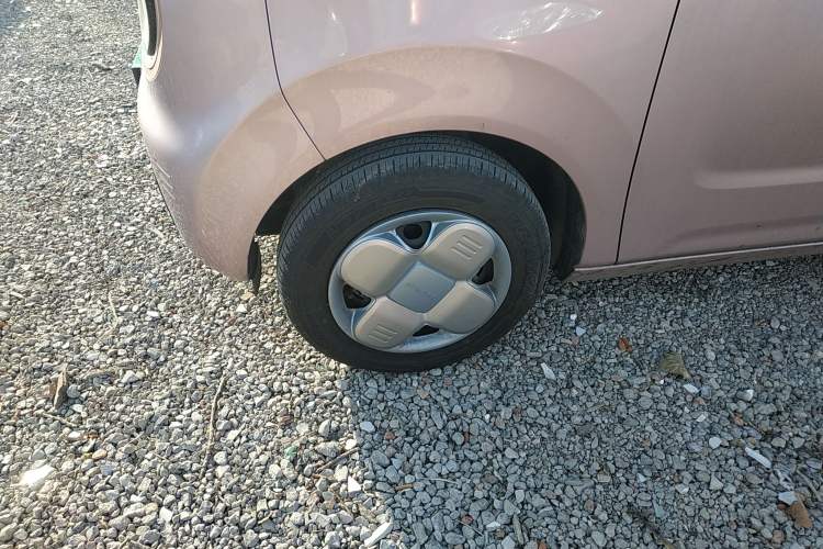 Used  Panda 2024 Panda Mini 200km Endurance Bear