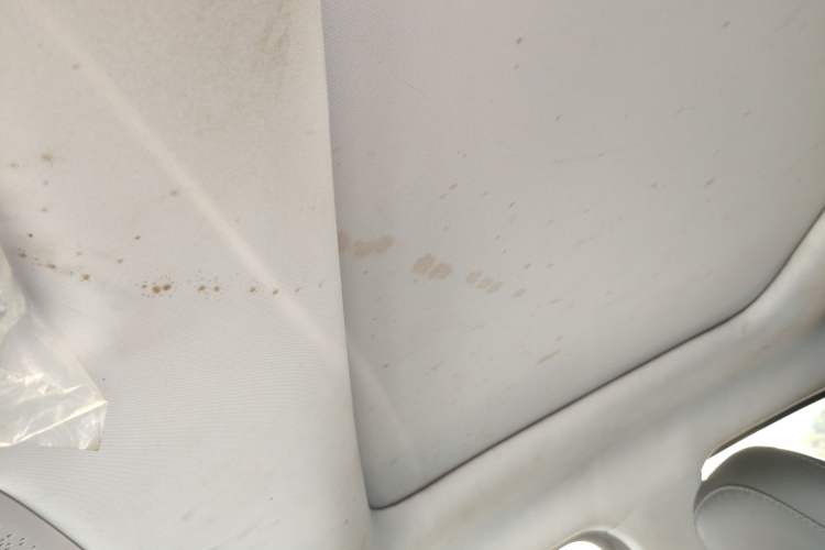 Used Leapmotor T03 2020 400 Luxury Edition