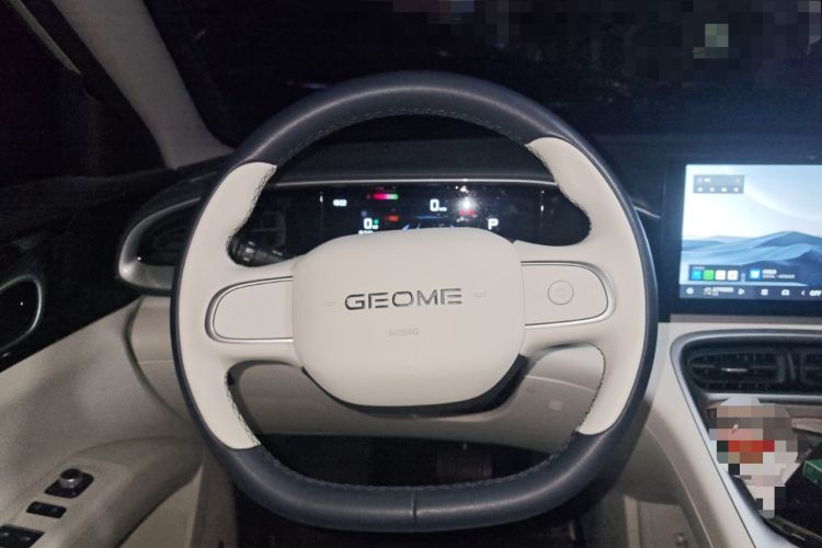 Used  Geome 2025 310km Youth Edition
