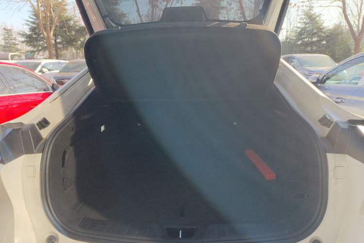 Used  L07 2024 230Max Range-Extended Version
