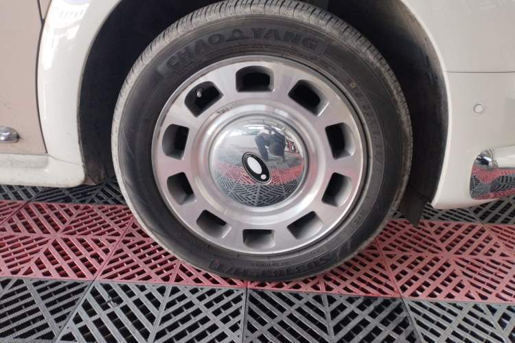 Used ORA Ballet Cat 2022 401 km Nutcracker Edition