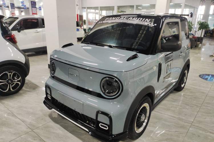 Used  Panda 2024 200km Panda Kart
