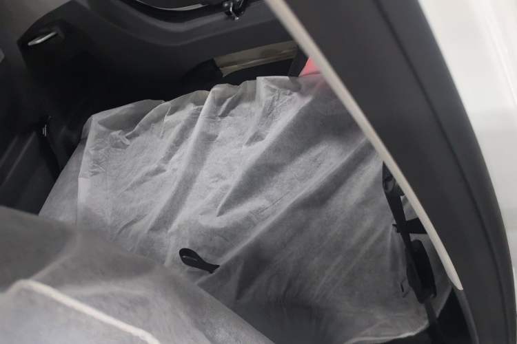 Used  Panda 2024 Panda Mini 200km Endurance Bear
