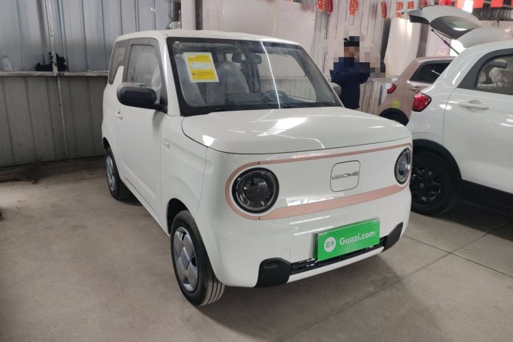Used  Panda 2024 Panda Mini 200km Endurance Bear
