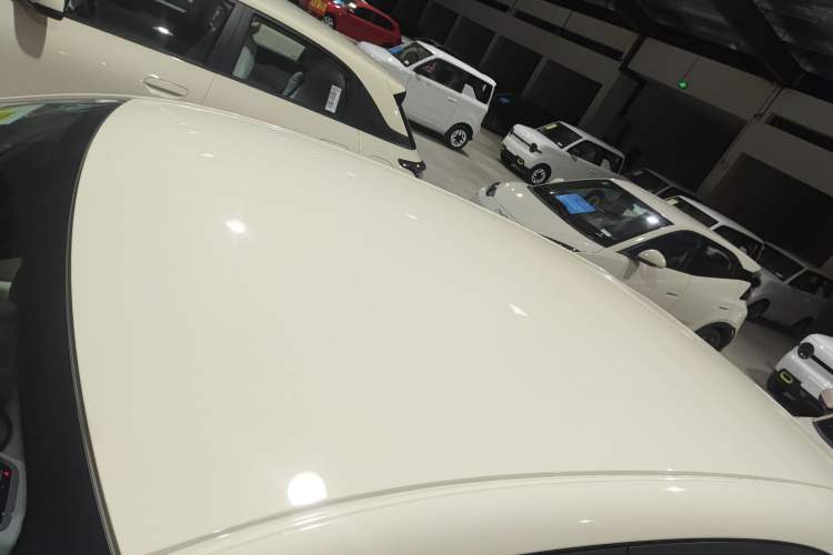 Used  Geome 2025 310km Youth Edition
