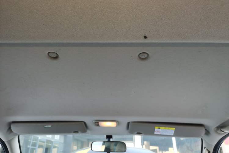 Used FORTHING Lingzhi 2020 M5L 1.6L Utility Model
