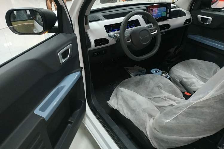 Used  Panda 2024 Panda Mini 200km Endurance Bear
