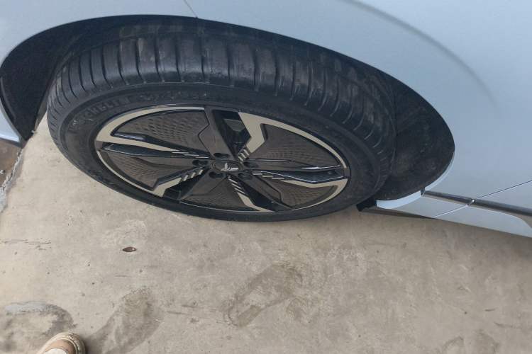 Used VOYAH PASSION 2023 Four-Wheel Drive Long-Range Version