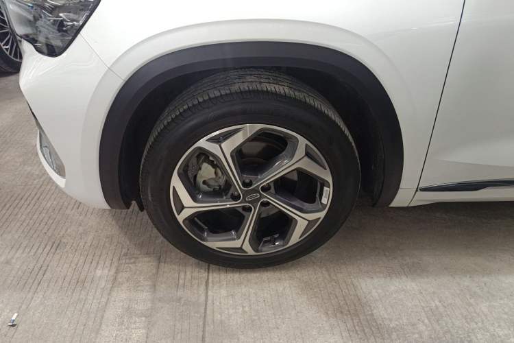 Used Geely Auto Monjaro L 2021 2.0TD DCT EVO Two-Wheel Drive Prestige Version
