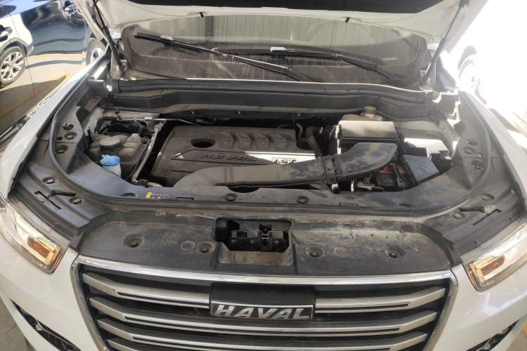 Used Haval H6 2021 1.5T Automatic Urban Edition
