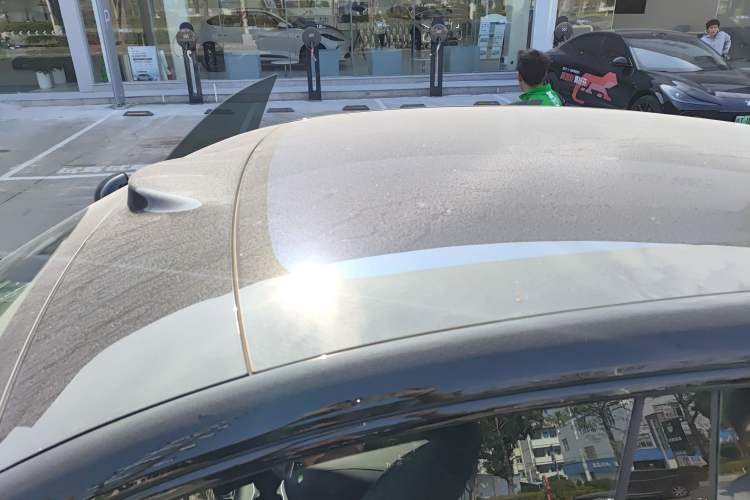 Used  LS6 2023 Max Enhanced Performance Edition
