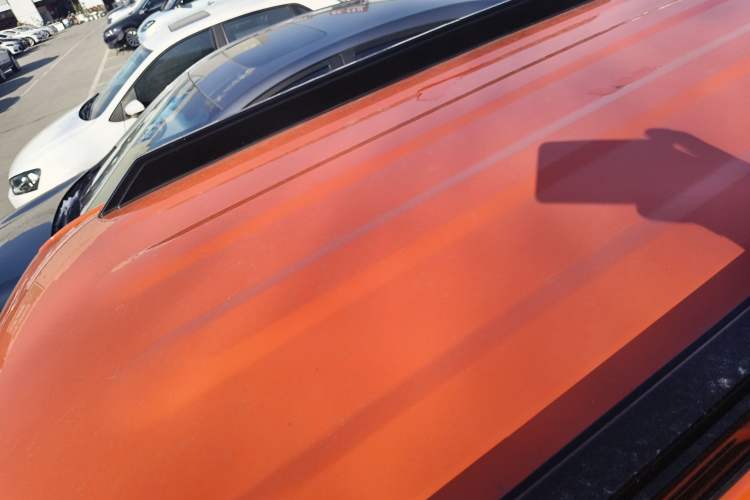 Used  Panda 2025 210km Panda Rider