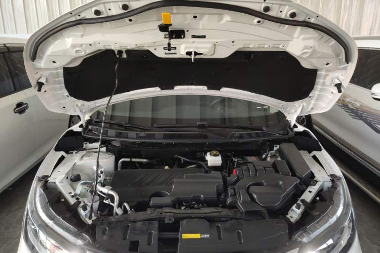 Used Nissan Qashqai 2022 2.0L CVT XV Smart Enjoyment Version
