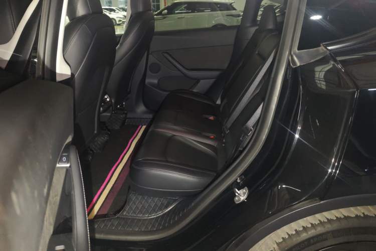 Used Tesla Model Y 2021 Standard Range Rear-Wheel Drive Version
