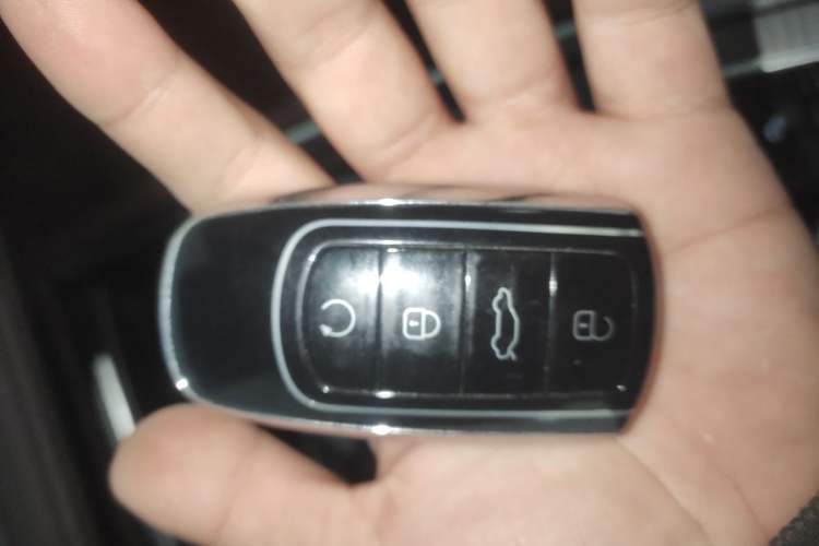 Used Chery Tiggo 8 PRO 2024 Champion Edition 290T Two-Wheel Drive Peak Version 5 Seats