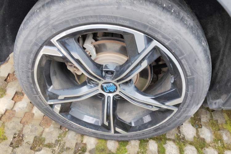 Used BYD Tang New Energy 2021 DM-i 112KM Prestige Model