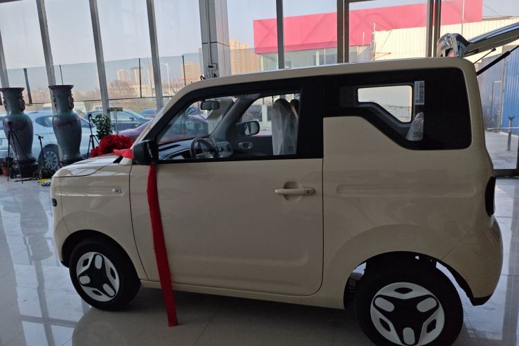 Used  Panda 2025 210 km – Yuanqi Bear
