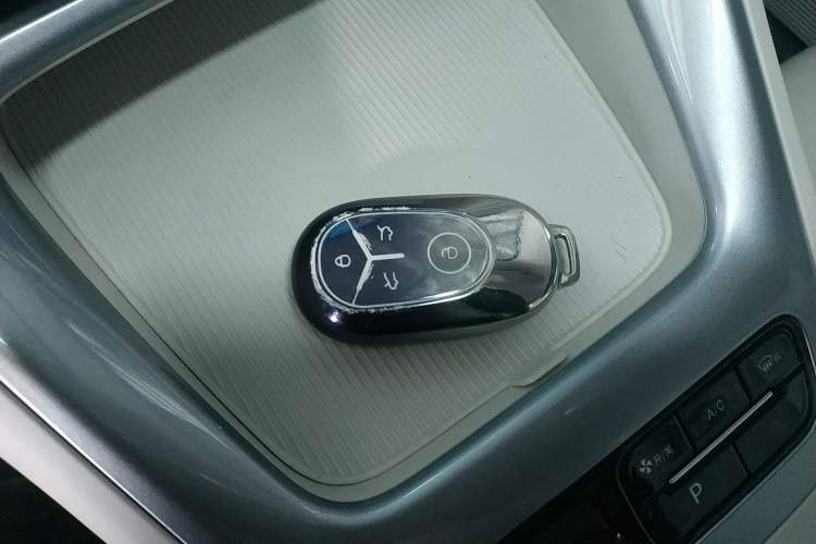 Used  Geome 2025 310km Youth Edition
