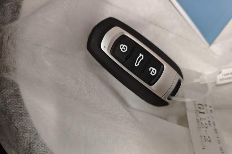 Used  Panda 2025 210km Panda Rider
