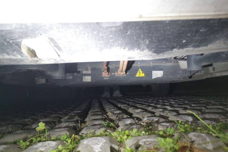 Used  Panda 2023 Panda Mini 200km Endurance Bear
