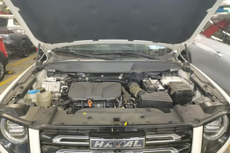 Used Haval DARGO 2021 Revised Version 2.0T DCT Four-Wheel Drive "Hao Tian Que" Edition
