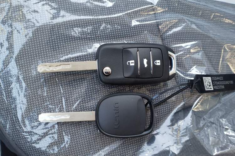 Used  Lumin 2025 205 km Xiangqin Version
