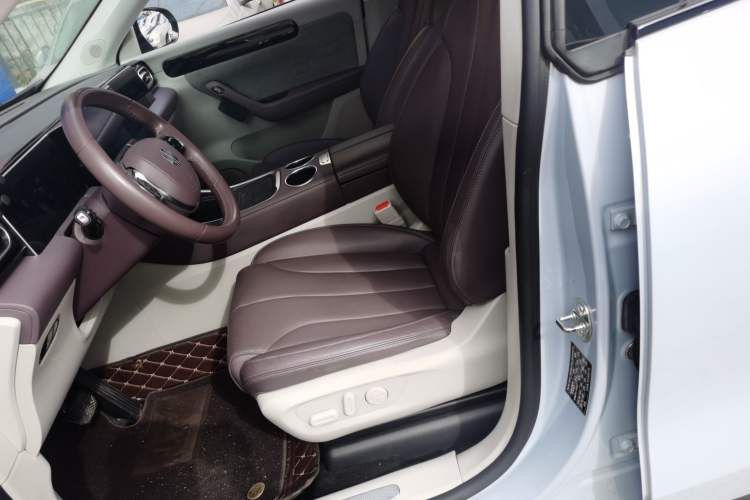 Used Leapmotor C11 2023 Pure Electric 500 Comfort Edition
