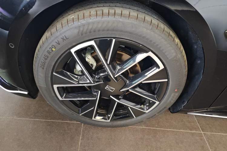 Used  06 2025 Pro Range-Extended Edition
