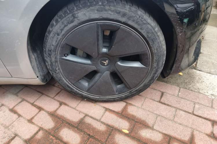 Used Tesla Model 3 2022 Rear-Wheel-Drive Version