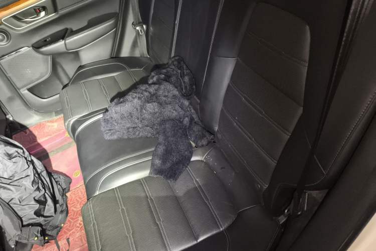 Used Honda CR-V 2021 240TURBO CVT 2WD Fashion Edition
