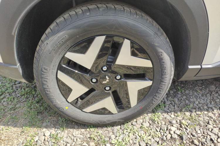 Used Wuling Bingo S 2025 Model 325km Flagship Edition