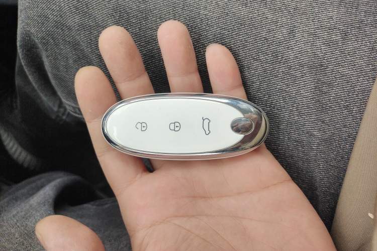 Used Dongfeng NAMMI 01 2024 430 Max
