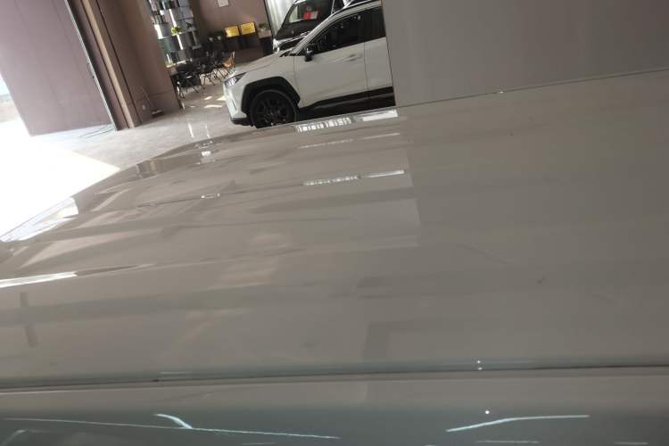 Used  Panda 2024 Panda Mini 200km Endurance Bear