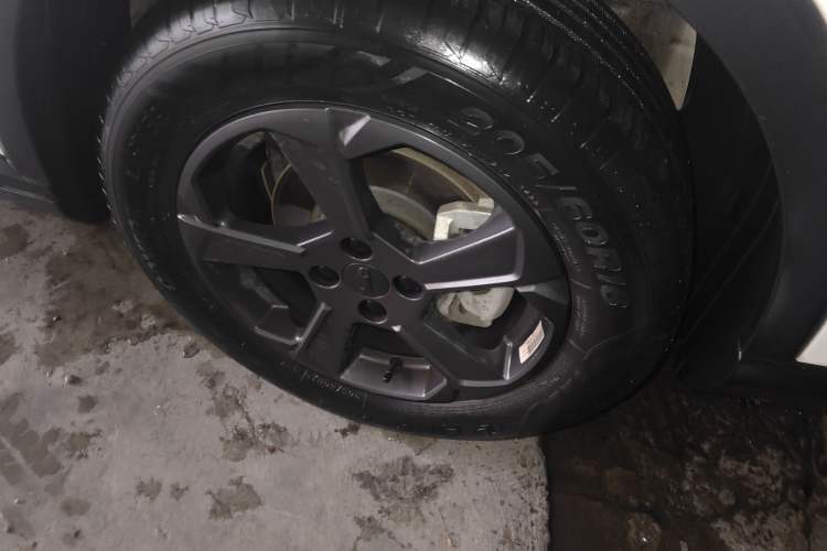 Used Geometry E Firefly 2022 401 km Linglong Tiger 4 Seats
