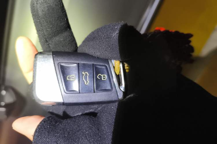 Used Roewe RX5 2020 PLUS 300TGI Automatic Ali National Trend Flagship Edition