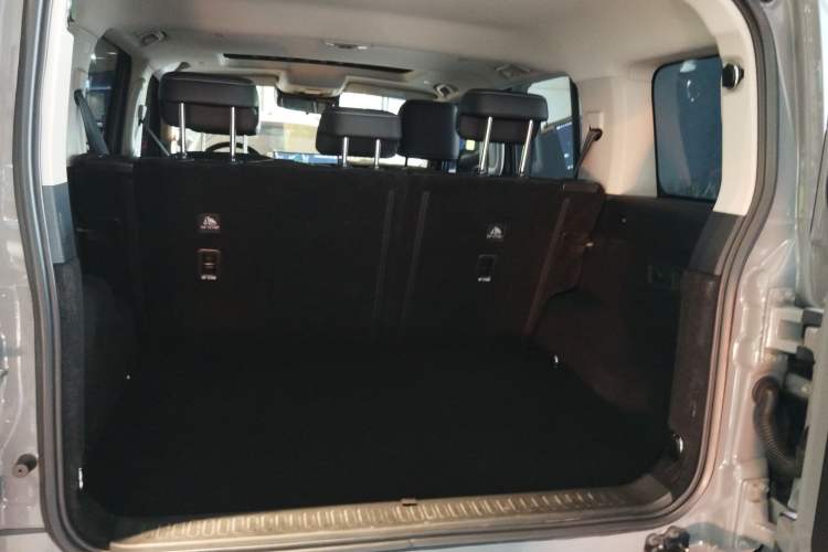 Used Tank 300 2025 2.4T Diesel Version
