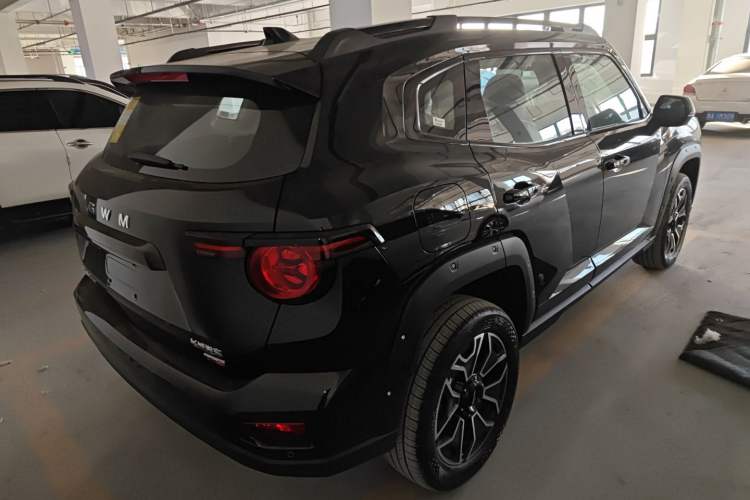 Used Haval H Dog New Energy 
