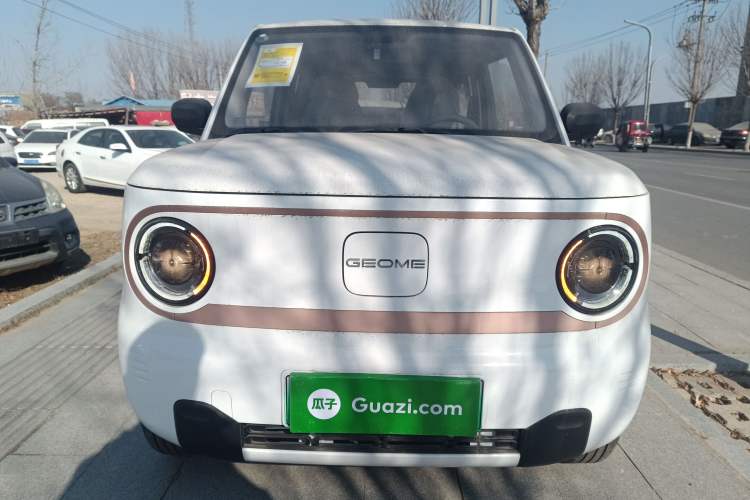 Used  Panda 2024 Panda Mini 200km Endurance Bear