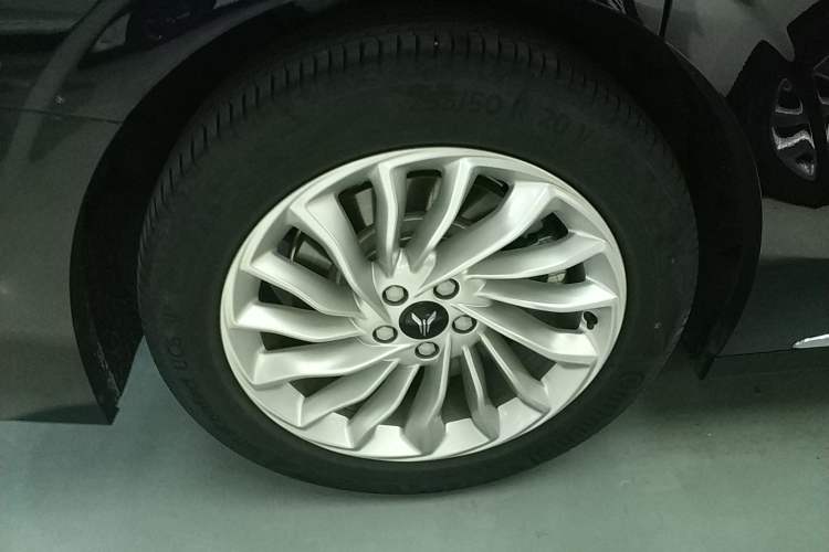 Used VOYAH Dream 2024 PHEV Extended-Range Premium Edition
