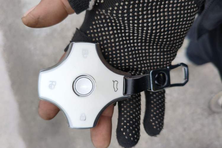 Used  eπ007 2024 Pure Electric 540 All-Wheel Drive Max Edition
