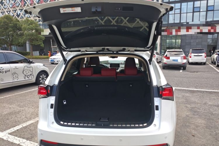 Used Lexus NX 2020 200 All-Wheel Drive Fēngshàng Version China VI Standard
