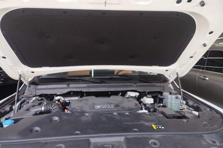 Used Tank 500 New Energy 2025 Hi4-Z
