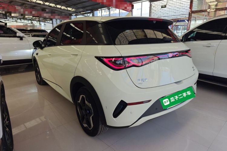 Used BYD Dolphin 2025 Smart Drive Version 420 km Freedom Edition