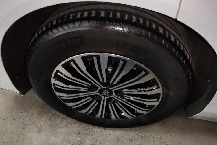 Used BYD Xia 2025 DM-i 1.5T 180km Excellence Model
