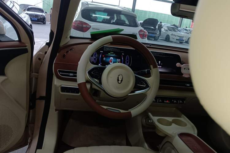 Used ORA Good Cat 2024 401 km Luxury Version