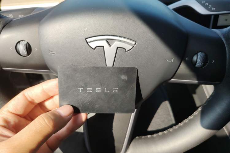 Used Tesla Model Y 2021 Standard Range Rear-Wheel Drive Version
