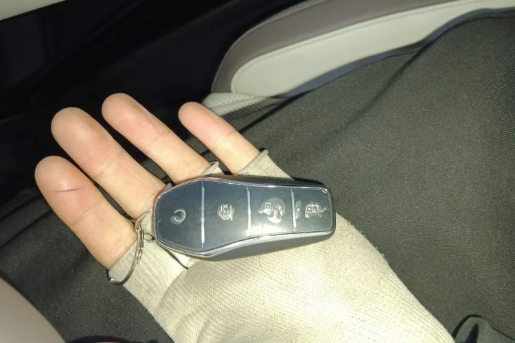 Used BYD Song PLUS New Energy 2025 DM-i Smart Drive 112KM Prestige Model
