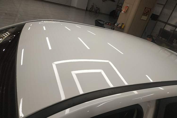 Used NETA V 2021 Long-Range Entertainment Edition Upgrade Model