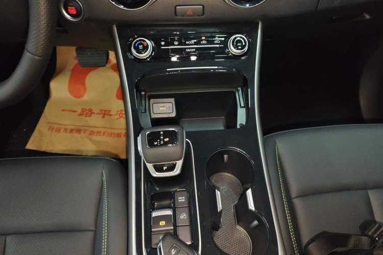 Used FORTHING T5 EVO 2024 Kungbiao Edition 1.5TD DCT Platinum Model