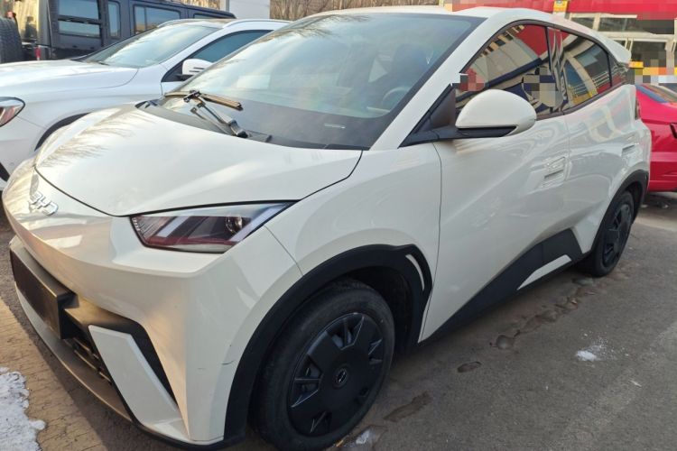 Used BYD Seagull 2024 Honor Edition 305km Dynamic Version